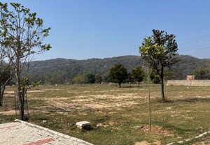 Plot Area in  Plot at Mullanpur – for Sale