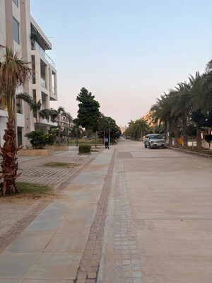 Parking in 3.5 BHK Builder Floor at Ace Palm Floors, Sector 89 – for Rent