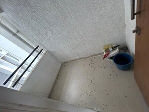 Bathroom in 3 BHK Apartment at Godrej 24 Sarjapur, Sarjapur Road – for Rent