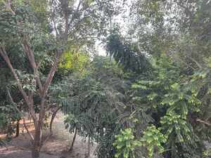 1 RK Independent House – Garden View at Sector 40 - for Rent