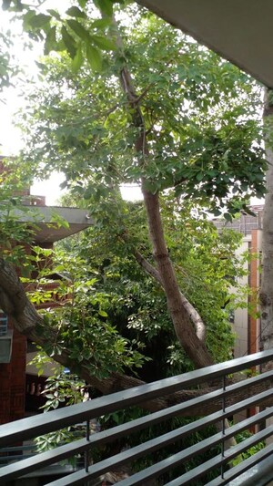 4 BHK Builder Floor – Garden View at Panchsheel Enclave - for Rent