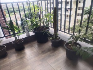 Gym in 3 BHK Apartment at Hallmark Sunnyside, Manchirevula – for Sale