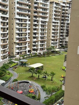 3 BHK +Apartment For Rent in Maya Green Lotus Saksham in International Airport Road, Zirakpur