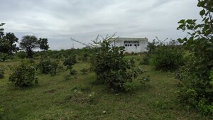 Plot Area in  Plot at Bhilgaon – for Sale