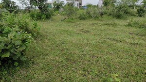  Plot – Garden View at Bhilgaon - for Sale