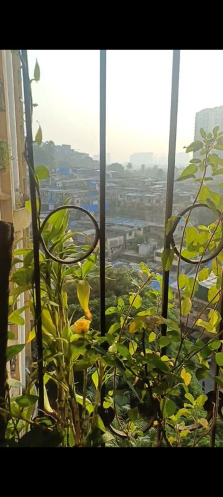 Garden, new-mhada-colony-chunabhatti 1 Bedroom 225 Sq.Ft. Apartment In Chunabhatti Mumbai 10752840