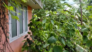  Land – Exterior View View at Maruthankuzhi - for Sale