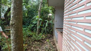  Land – Exterior View View at Maruthankuzhi - for Sale