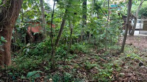  Land – Exterior View View at Maruthankuzhi - for Sale