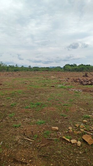 Plot Area in  Plot at Murbad – for Sale