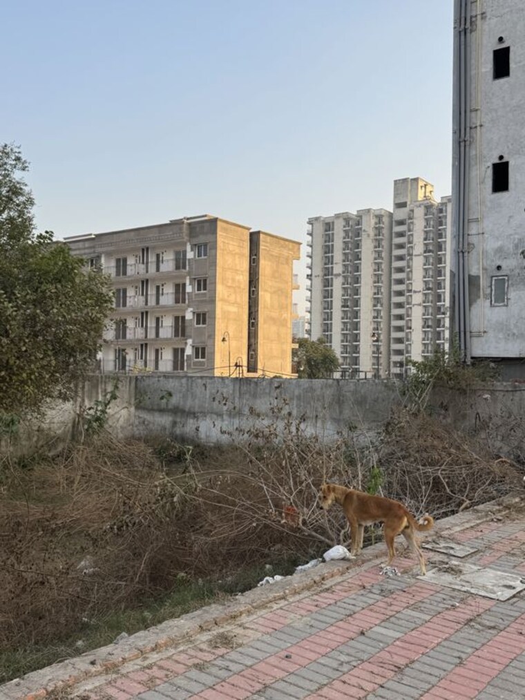 Exterior View, sector 36  129 Sq.Yd. Plot In Sector 36 Gurgaon 10753719