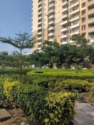 4 BHK Apartment For Rent in Sector 32