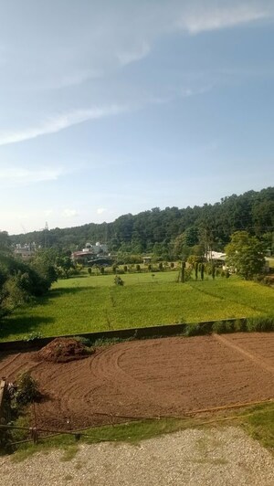  Plot For Sale in Shimla Bypass Road