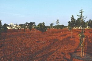 Plot Area in  Plot at Fortune Butterfly City, Kadthal – for Sale