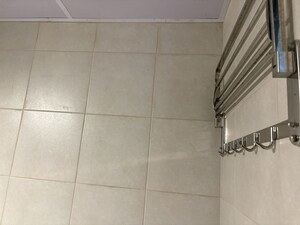 Bathroom in 2 BHK Apartment at Adarsh Greens, Kogilu – for Sale