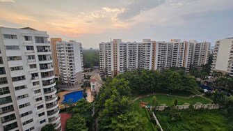 2 BHK Apartment For Rent in Purva Venezia in Yelahanka New Town, Bangalore