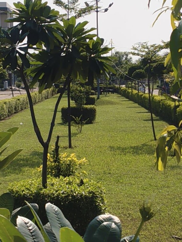 Garden, vasundhara-smart-city  134 Sq.Yd. Plot In Sujroo Muzaffarnagar 10754351