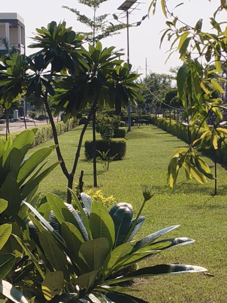 Garden, vasundhara-smart-city  134 Sq.Yd. Plot In Sujroo Muzaffarnagar 10754351