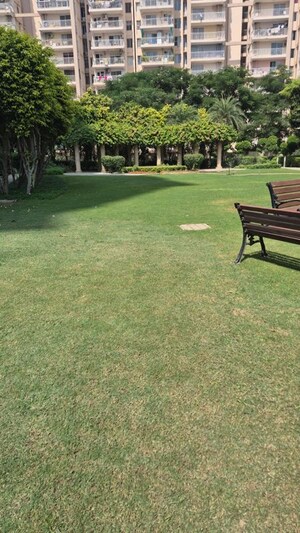 4 BHK Apartment – Garden View at DLF New Town Heights I, Sector 90 - for Sale