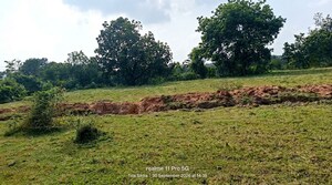  Land For Sale in Katoria