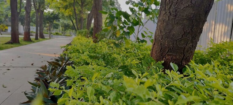 Garden, the-greater-ganga-panama 2 Bedroom 907 Sq.Ft. Apartment In Pimple Nilakh Pune 10754918
