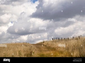 Plot Area in  Plot at Indore Gpo – for Sale