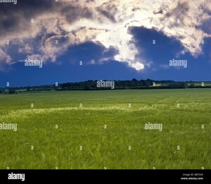 Plot Area in  Plot at Indore Gpo – for Sale