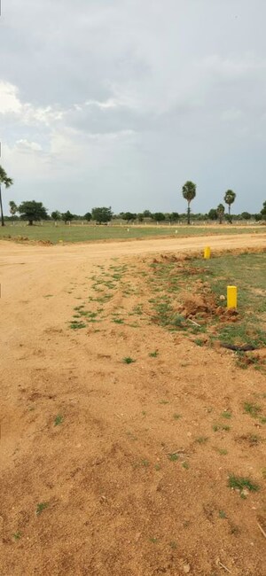 Plot Area in  Plot at Choutuppal – for Sale