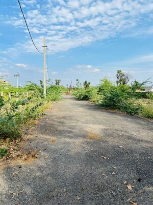  Plot For Rent in Chachiyawas