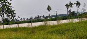 Plot Area in  Plot at Chandulal Baradari – for Sale