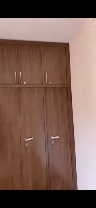 2.5 BHK +Apartment For Rent in Amrapali O2 Valley in Tech Zone 4 Greater Noida, Greater Noida