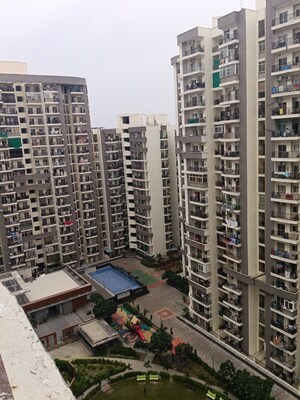 3 BHK Apartment For Rent in Aims Golf Avenue II, Sector 75
