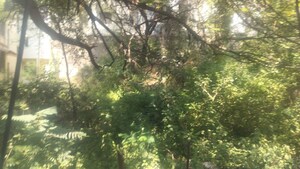  Plot – Garden View at Jubilee Hills - for Sale