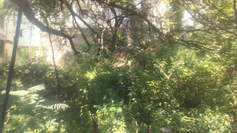 Garden, jubilee hills  1114 Sq.Ft. Plot In Jubilee Hills Hyderabad 10757016