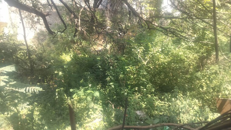 Garden, jubilee hills  1114 Sq.Ft. Plot In Jubilee Hills Hyderabad 10757016
