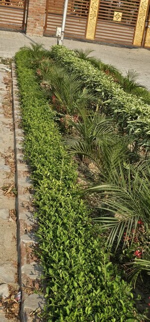 Plot Area in  Plot at Chunar – for Sale