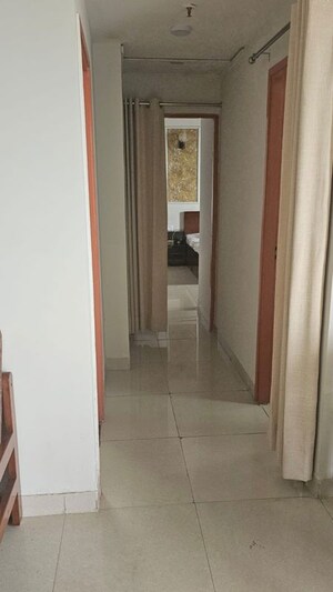 1 BHK Apartment For Rent in Paras Tierea, Sector 137