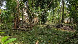 Warehouse For Rent in Panniyankara