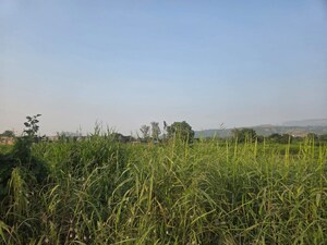  Plot For Sale in Panvel