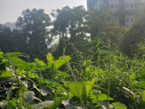  Plot – Garden View at Bhokarpada - for Sale