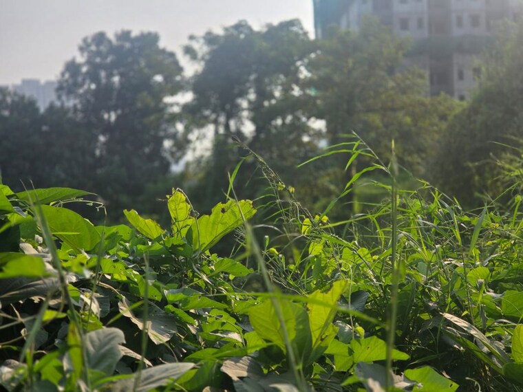 Garden, bhokarpada  25 Acre Plot In Bhokarpada Navi Mumbai 10757182