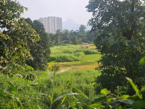  Plot For Sale in Bhokarpada