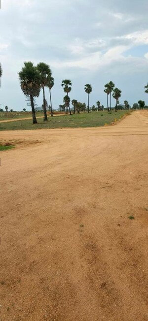  Plot For Rent in Choutuppal