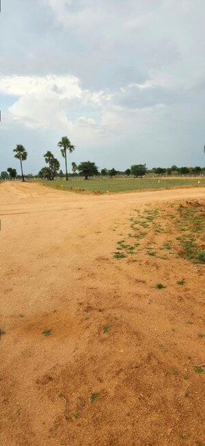 Plot Area in  Plot at Choutuppal – for Rent