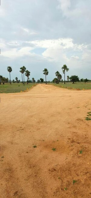 Plot Area in  Plot at Choutuppal – for Rent