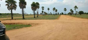 Plot Area in  Plot at Choutuppal – for Rent