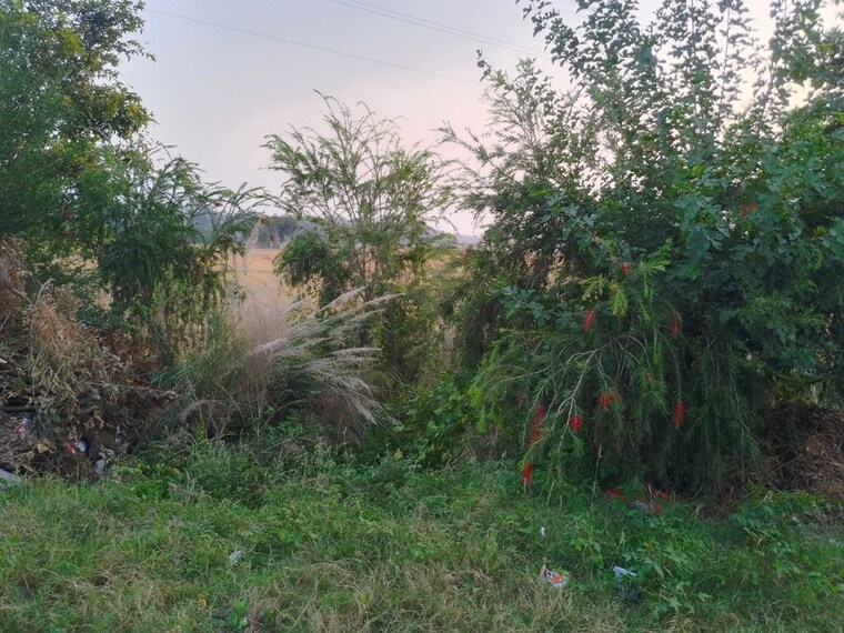 undefined, kharar mohali road  750 Sq.Yd. Plot In Kharar Mohali Road Kharar 10736020