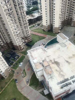 3 BHK Apartment For Rent in Sector 107