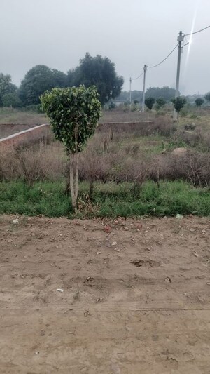 Plot Area in  Plot at Raj Nagar Extension – for Sale