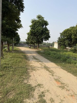  Plot – Garden View at Dankaur - for Sale